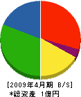 松橋組 貸借対照表 2009年4月期