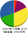 安藤板金工業所 貸借対照表 2007年12月期