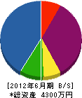 大阪装備工芸 貸借対照表 2012年6月期