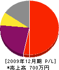 松川電化設備 損益計算書 2009年12月期