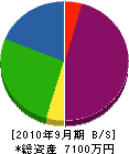 三井商会 貸借対照表 2010年9月期