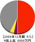 中村総合建設 損益計算書 2008年12月期