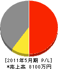 岩田硝子建材 損益計算書 2011年5月期