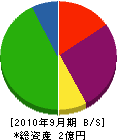 豊翔 貸借対照表 2010年9月期