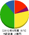 岩崎産業 貸借対照表 2012年4月期
