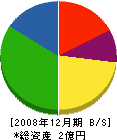 シライシ 貸借対照表 2008年12月期