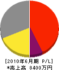 永井電機 損益計算書 2010年6月期