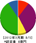 松田リサイクル 貸借対照表 2012年3月期
