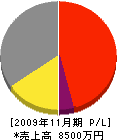 吉田鉄工所 損益計算書 2009年11月期