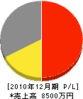 小倉電気 損益計算書 2010年12月期