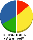豆田組 貸借対照表 2012年6月期