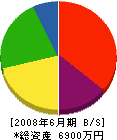 櫻井組 貸借対照表 2008年6月期