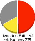 三栄推進土木 損益計算書 2009年12月期