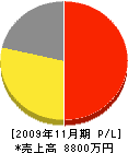 渡辺農園 損益計算書 2009年11月期