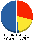 大誠テクノス 貸借対照表 2011年6月期