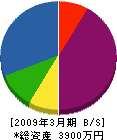 弘電業 貸借対照表 2009年3月期