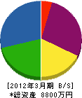 松永産業 貸借対照表 2012年3月期