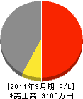 円山建設 損益計算書 2011年3月期