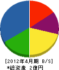 桂川電工 貸借対照表 2012年4月期