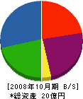 大信ペイント 貸借対照表 2008年10月期