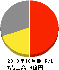 三田電気工業 損益計算書 2010年10月期