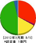 桜井塗装 貸借対照表 2012年3月期