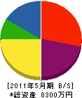 水田水道工事所 貸借対照表 2011年5月期