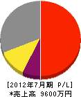 黒田電気商会 損益計算書 2012年7月期