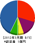 長澤電気 貸借対照表 2012年3月期