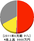 井上建具店 損益計算書 2011年6月期