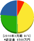松江塗装 貸借対照表 2010年3月期