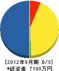 木目沢工務店 貸借対照表 2012年9月期