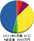 幡電設 貸借対照表 2011年6月期