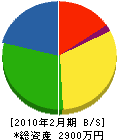 石川建設 貸借対照表 2010年2月期