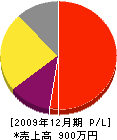 松島塗装工業 損益計算書 2009年12月期