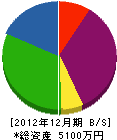 金子信華園 貸借対照表 2012年12月期