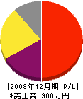 松島塗装工業 損益計算書 2008年12月期