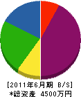 岡本緑化 貸借対照表 2011年6月期