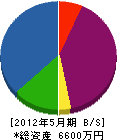 小松建設 貸借対照表 2012年5月期