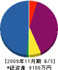 中辻造園土木工業 貸借対照表 2009年11月期