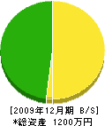 松橋組 貸借対照表 2009年12月期