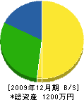 中井組 貸借対照表 2009年12月期