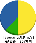 田垣建築 貸借対照表 2009年12月期