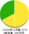 山勇電気商会 貸借対照表 2009年12月期