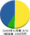 井関工務店 貸借対照表 2009年12月期