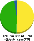 中井建設 貸借対照表 2007年12月期