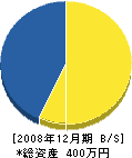 山眞建設 貸借対照表 2008年12月期