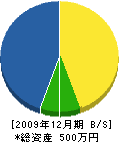 近藤電気 貸借対照表 2009年12月期