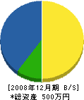 横山電気工社 貸借対照表 2008年12月期