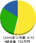 相澤建装 貸借対照表 2009年12月期